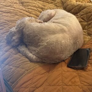 Arrow Accessories Sample Product 1