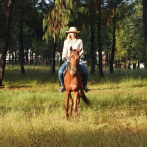 Guided Horseback Trail Ride With Clara