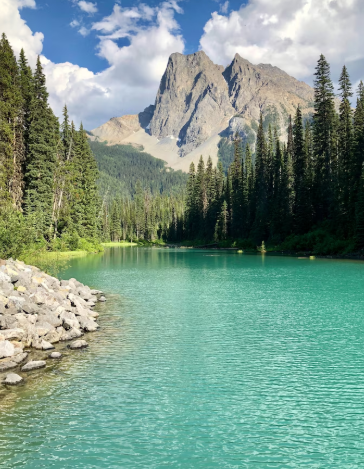 my variable product - Image 2