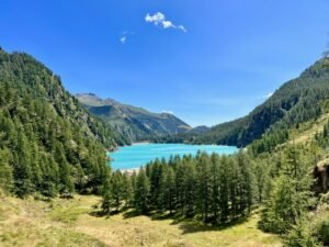 Fitness and Conditioning - Forum Image