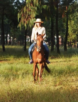 82ddf915ba0aeb4b9dda71eb0e7aafe1dbb1353e